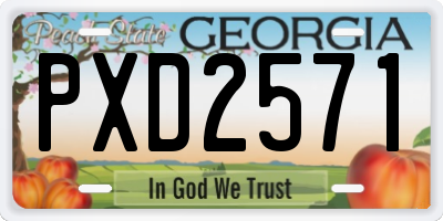 GA license plate PXD2571