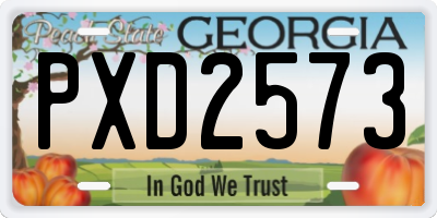 GA license plate PXD2573