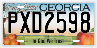 GA license plate PXD2598