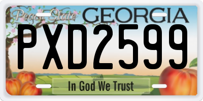 GA license plate PXD2599