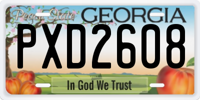 GA license plate PXD2608