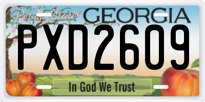 GA license plate PXD2609