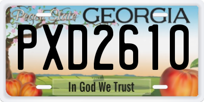 GA license plate PXD2610