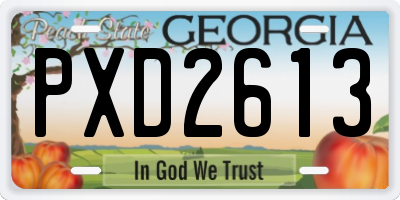 GA license plate PXD2613