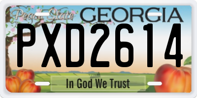 GA license plate PXD2614