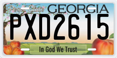 GA license plate PXD2615