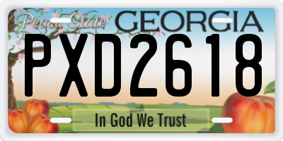 GA license plate PXD2618