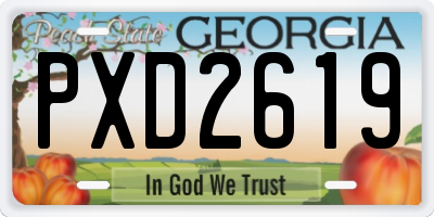 GA license plate PXD2619