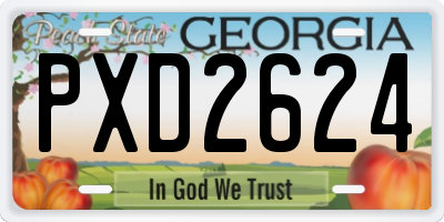 GA license plate PXD2624