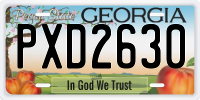 GA license plate PXD2630