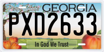 GA license plate PXD2633