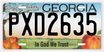 GA license plate PXD2635