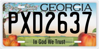 GA license plate PXD2637