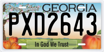 GA license plate PXD2643