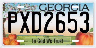 GA license plate PXD2653