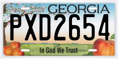 GA license plate PXD2654
