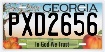 GA license plate PXD2656