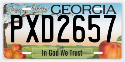GA license plate PXD2657