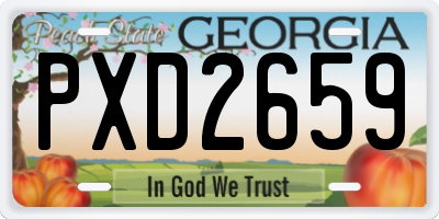 GA license plate PXD2659