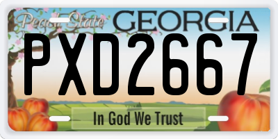 GA license plate PXD2667