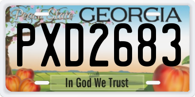 GA license plate PXD2683