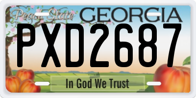 GA license plate PXD2687