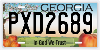 GA license plate PXD2689