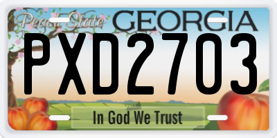 GA license plate PXD2703