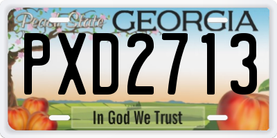 GA license plate PXD2713