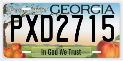 GA license plate PXD2715