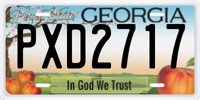 GA license plate PXD2717