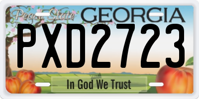 GA license plate PXD2723