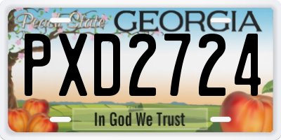 GA license plate PXD2724
