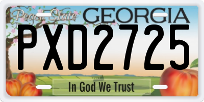 GA license plate PXD2725