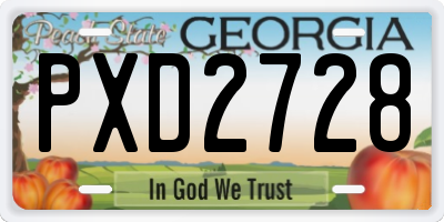 GA license plate PXD2728