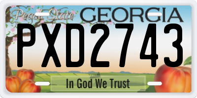 GA license plate PXD2743
