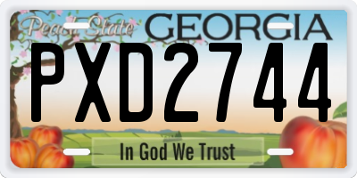 GA license plate PXD2744