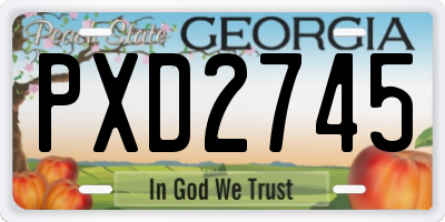 GA license plate PXD2745