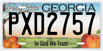 GA license plate PXD2757