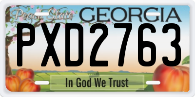 GA license plate PXD2763