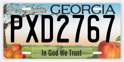 GA license plate PXD2767