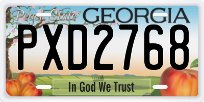 GA license plate PXD2768