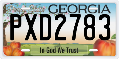 GA license plate PXD2783