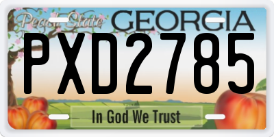 GA license plate PXD2785