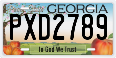 GA license plate PXD2789