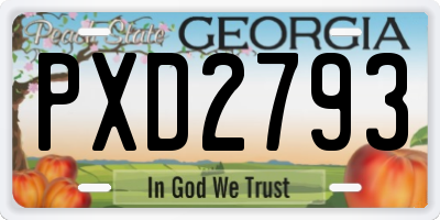 GA license plate PXD2793