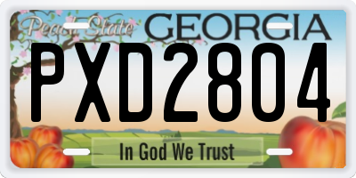 GA license plate PXD2804