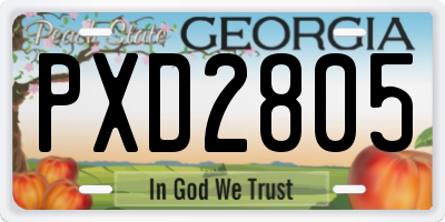GA license plate PXD2805