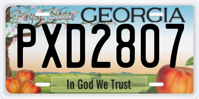 GA license plate PXD2807