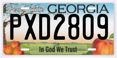 GA license plate PXD2809